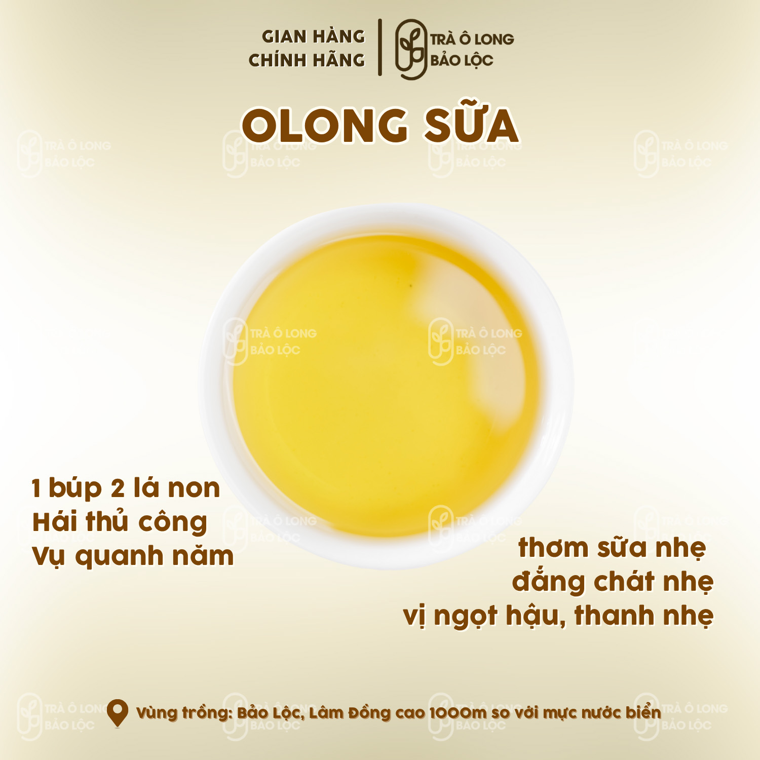 Trà Olong Sữa - Hình ảnh 2