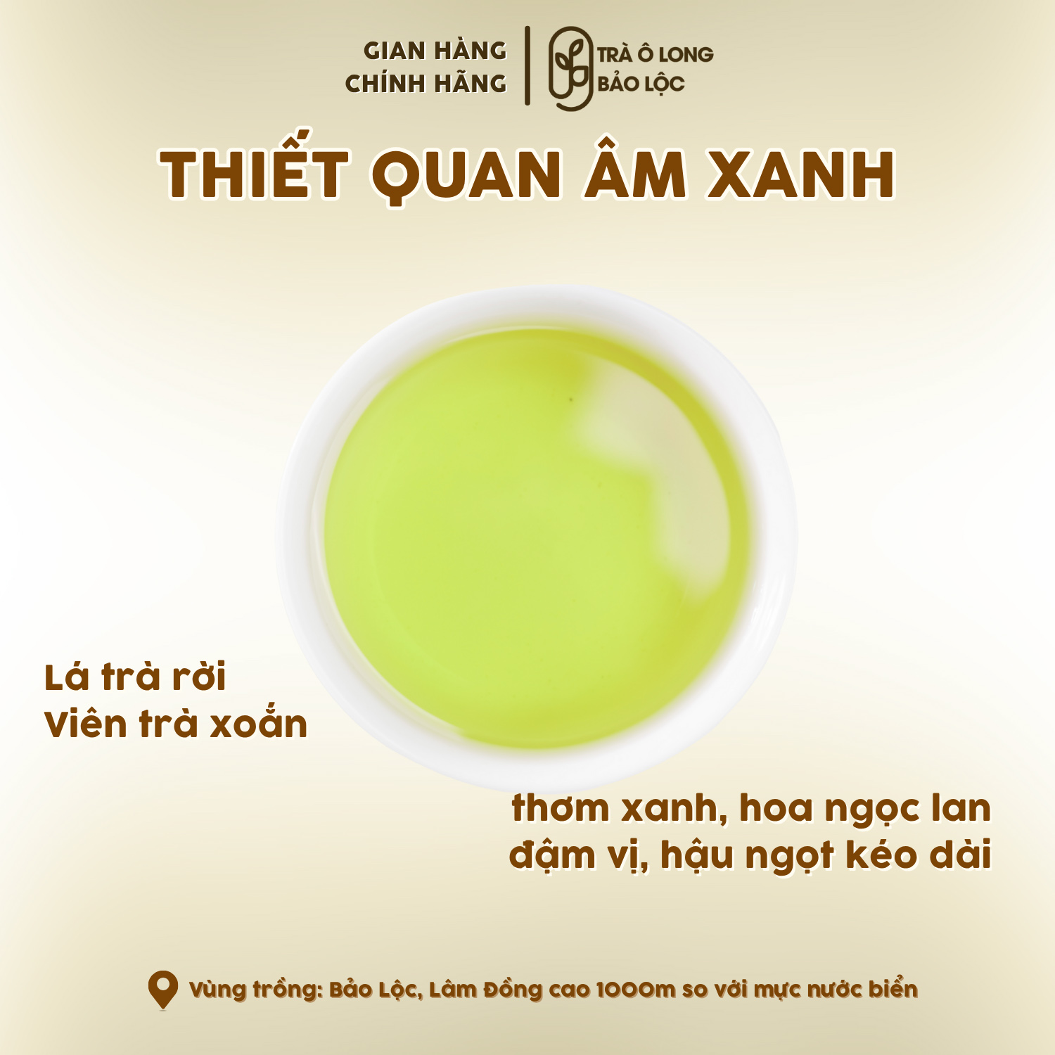 Thiết Quan Âm Xanh - Hình ảnh 3